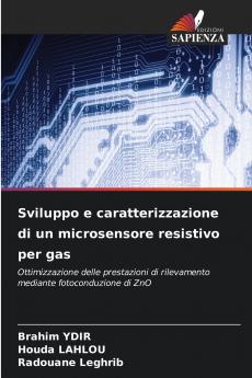 Sviluppo e caratterizzazione di un microsensore resistivo per gas