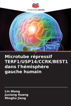 Microtube répressif TERF1/USP14/CCRK/BEST1 dans l'hémisphère gauche humain