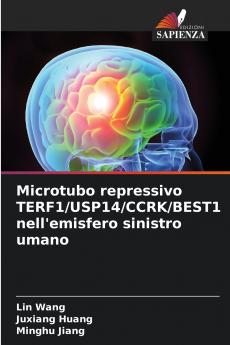 Microtubo repressivo TERF1/USP14/CCRK/BEST1 nell'emisfero sinistro umano