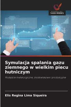 Symulacja spalania gazu ziemnego w wielkim piecu hutniczym