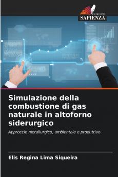 Simulazione della combustione di gas naturale in altoforno siderurgico