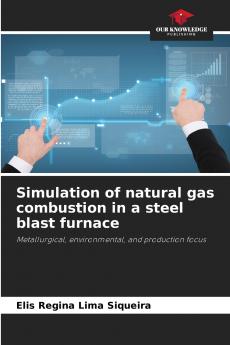Simulation of natural gas combustion in a steel blast furnace