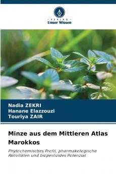 Minze aus dem Mittleren Atlas Marokkos