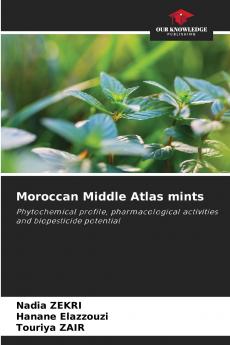 Moroccan Middle Atlas mints