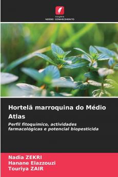 Hortelã marroquina do Médio Atlas
