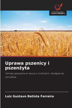 Uprawa pszenicy i pszenżyta