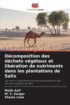 Décomposition des déchets végétaux et libération de nutriments dans les plantations de Salix