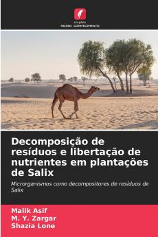 Decomposição de resíduos e libertação de nutrientes em plantações de Salix