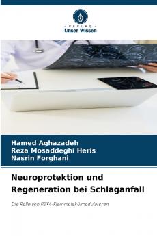 Neuroprotektion und Regeneration bei Schlaganfall