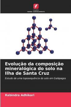 Evolução da composição mineralógica do solo na Ilha de Santa Cruz