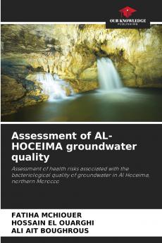 Assessment of AL-HOCEIMA groundwater quality