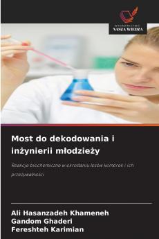 Most do dekodowania i inżynierii młodzieży