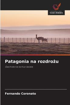 Patagonia na rozdrożu