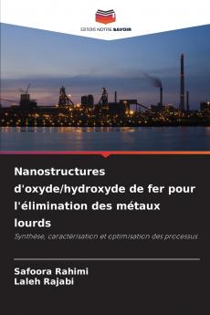 Nanostructures d'oxyde/hydroxyde de fer pour l'élimination des métaux lourds
