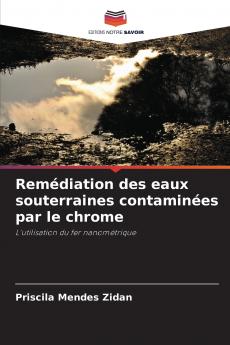 Remédiation des eaux souterraines contaminées par le chrome