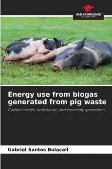 Energy use from biogas generated from pig waste