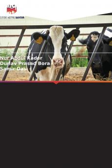 Épidémiologie de la leptospirose bovine