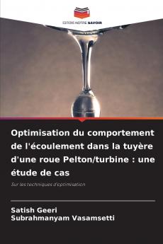 Optimisation du comportement de l'écoulement dans la tuyère d'une roue Pelton/turbine
