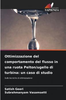 Ottimizzazione del comportamento del flusso in una ruota Pelton/ugello di turbina