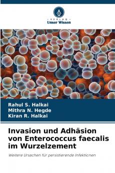Invasion und Adhäsion von Enterococcus faecalis im Wurzelzement
