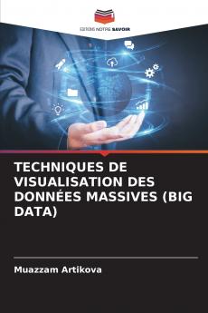 TECHNIQUES DE VISUALISATION DES DONNÉES MASSIVES (BIG DATA)