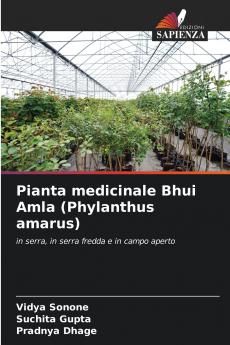 Pianta medicinale Bhui Amla (Phylanthus amarus)