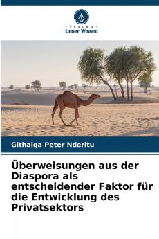 Überweisungen aus der Diaspora als entscheidender Faktor für die Entwicklung des Privatsektors