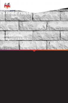 Les effets de la réforme d'Anatoly Serdiukov sur l'armée russe