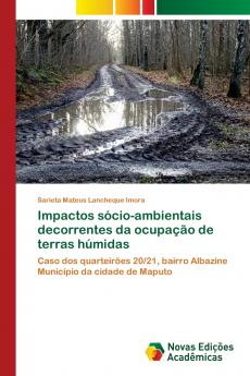 Impactos sócio-ambientais decorrentes da ocupação de terras húmidas