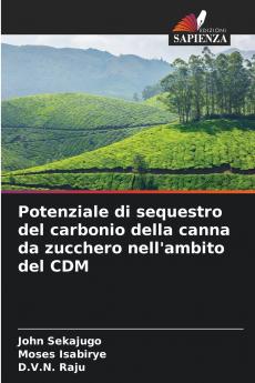 Potenziale di sequestro del carbonio della canna da zucchero nell'ambito del CDM