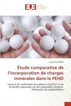 Étude comparative de l'incorporation de charges minérales dans le PEHD