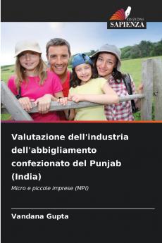 Valutazione dell'industria dell'abbigliamento confezionato del Punjab (India)