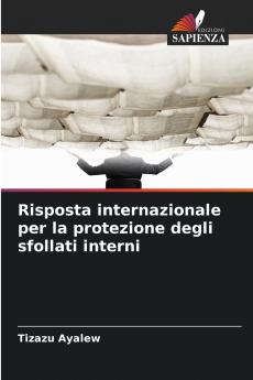 Risposta internazionale per la protezione degli sfollati interni