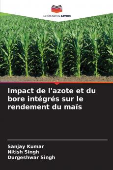Impact de l'azote et du bore intégrés sur le rendement du maïs