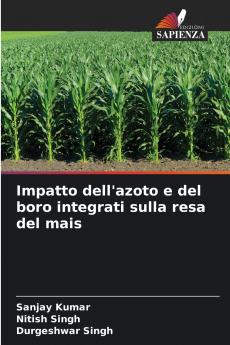 Impatto dell'azoto e del boro integrati sulla resa del mais