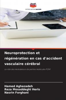 Neuroprotection et régénération en cas d'accident vasculaire cérébral