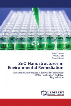 ZnO Nanostructures in Environmental Remediation