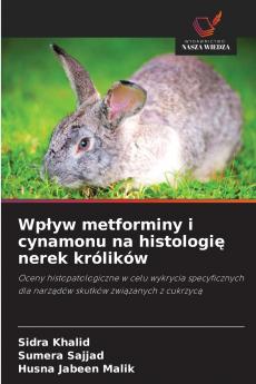 Wpływ metforminy i cynamonu na histologię nerek królików