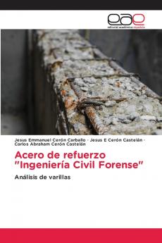 Acero de refuerzo Ingeniería Civil Forense