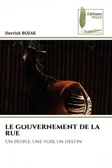 LE GOUVERNEMENT DE LA RUE