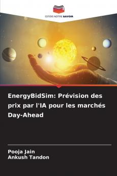 EnergyBidSim
