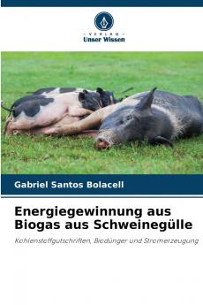 Energiegewinnung aus Biogas aus Schweinegülle