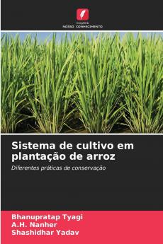 Sistema de cultivo em plantação de arroz