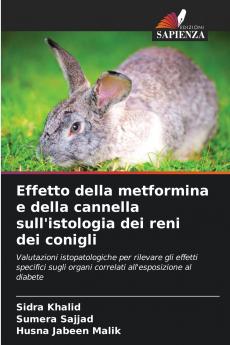 Effetto della metformina e della cannella sull'istologia dei reni dei conigli