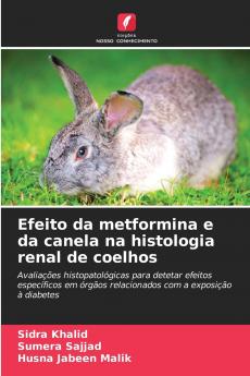Efeito da metformina e da canela na histologia renal de coelhos