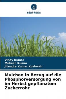 Mulchen in Bezug auf die Phosphorversorgung von im Herbst gepflanztem Zuckerrohr