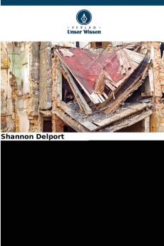 Reaktion auf das Erdbeben in Haiti