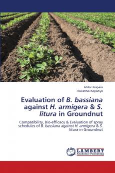 Evaluation of B. bassiana against H. armigera & S. litura in Groundnut