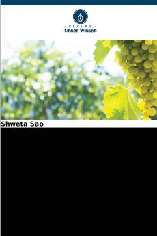 Industrieabfall Flugasche als Düngemittel