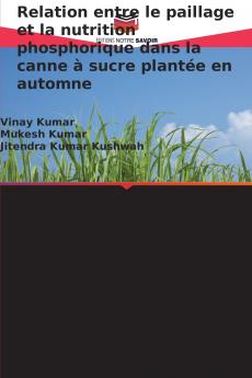 Relation entre le paillage et la nutrition phosphorique dans la canne à sucre plantée en automne
